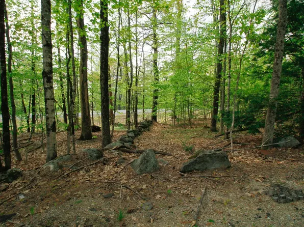 224 Lot 20 Elijah Beede Road, Sandwich, NH 03883