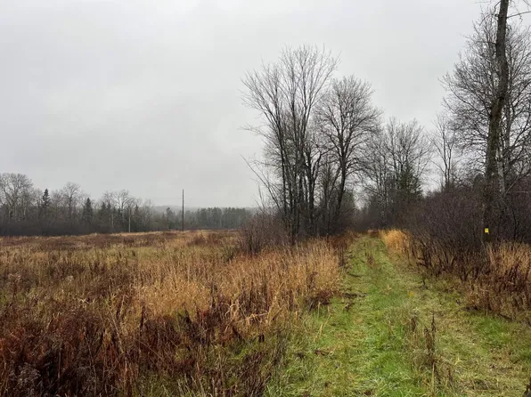 E Harding Rd, Bessemer, MI 49911