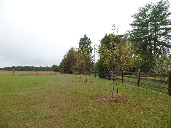 fruit trees