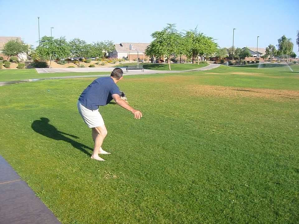 From adjacent park