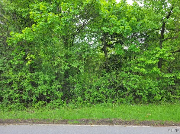 6002 Sewickley Dr #1, Jamesville, NY 13078