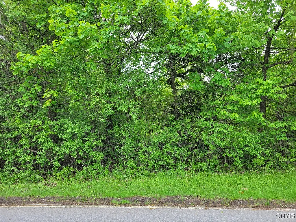 6002 Sewickley Dr #1 photo 1