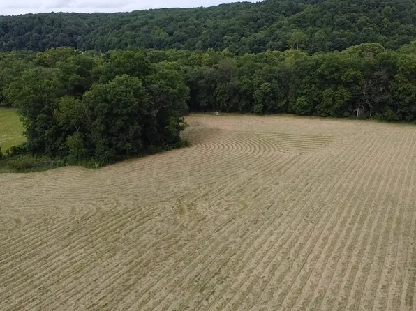 4509 Swan Creek Rd, Centerville, TN 37033