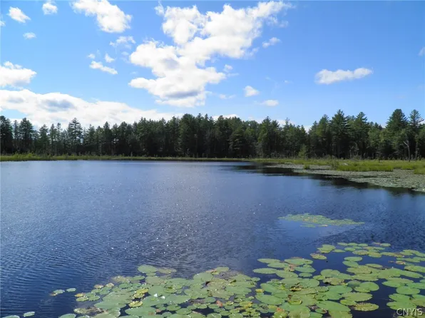 8121 Fowler Rd, Pt Leyden, NY 13433