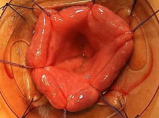 19264 Bullion Rd, Helendale, CA 92342