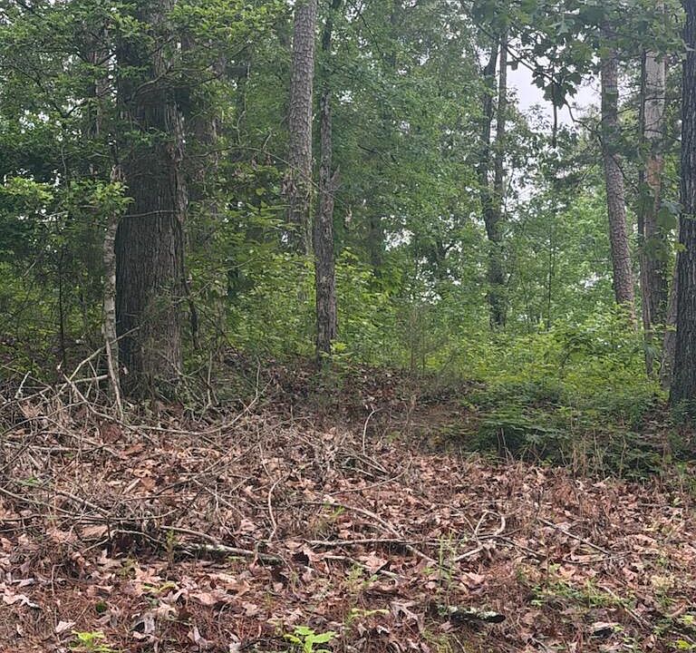 2nd image of Shurden Owen Dr