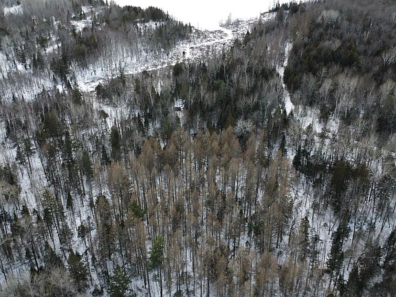 4th image of 7.3A Off LONG LAKE BOAT LANDING RD