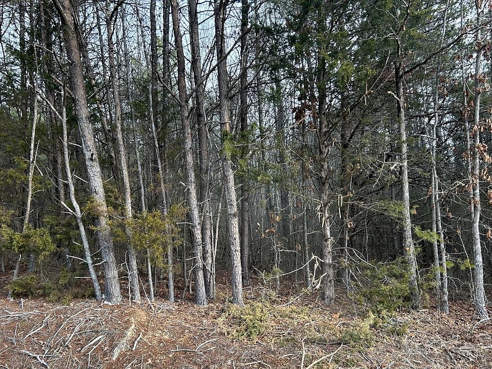1st image of 0 Parker Loop Rd