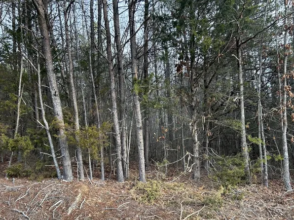 0 Parker Loop Rd, Birchwood, TN 37308