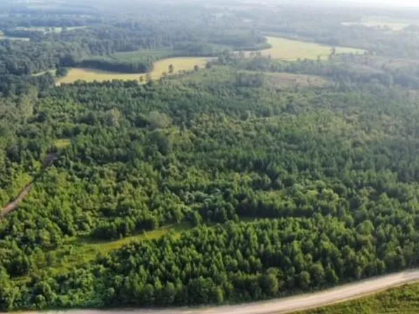 0 County Road 147, Abbeville, AL 36310