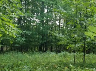 0 Barker Rd, Germfask, MI 49836