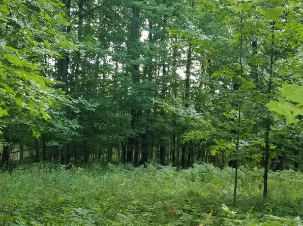 0 Barker Rd, Germfask, MI 49836