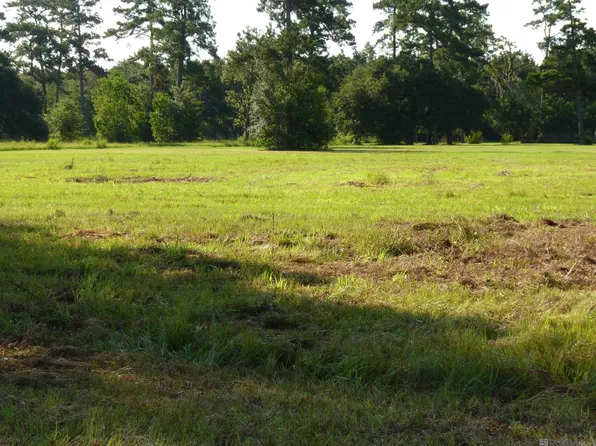LOT 11 Lynda Dr Lot 11, Springfield, LA 70462