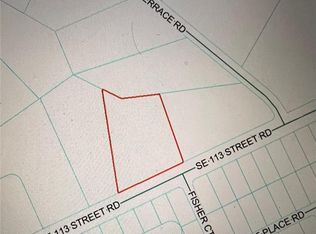 SE 113th Street Rd LOT 8, Ocklawaha, FL 32179