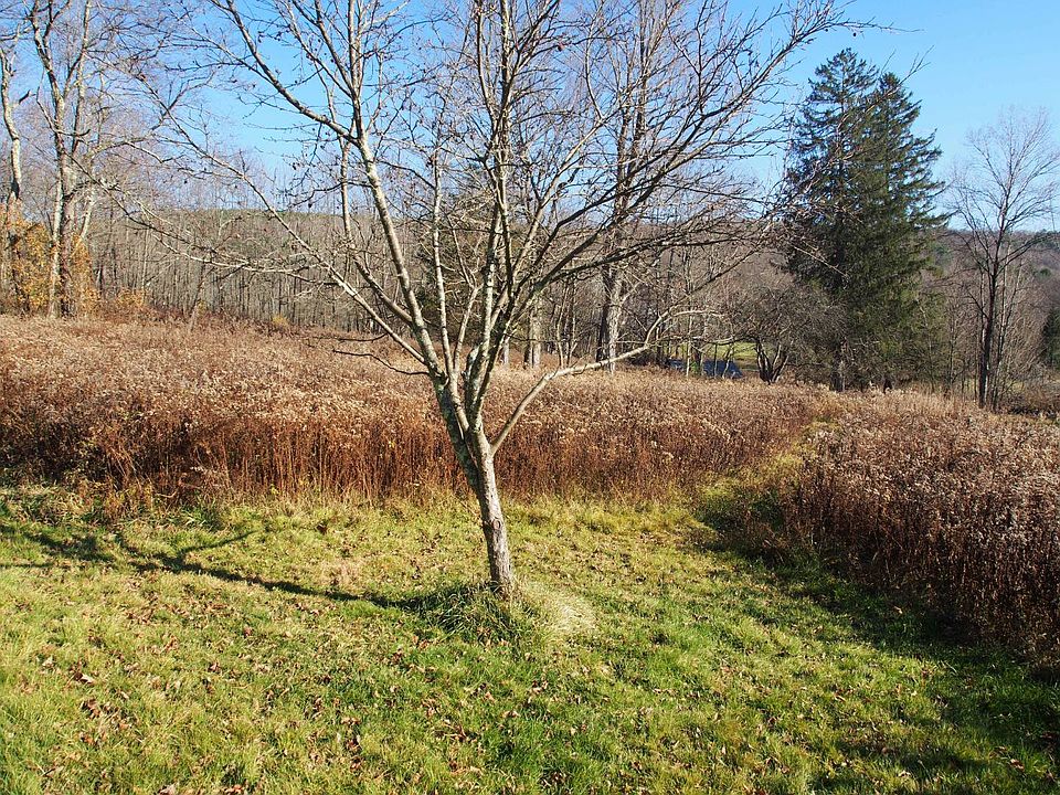 935 County Highway 5 Otego, NY Zillow Apartments for Rent in Otego