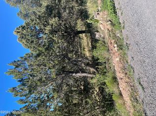 3125 Ranch Rd, Overgaard, AZ 85933