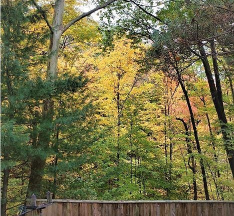 2nd image of 24301 Oakhill Dr