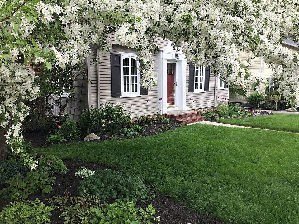 Front of house/apple tree