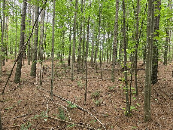 4th image of 205 Poplar Bnd Lot 553