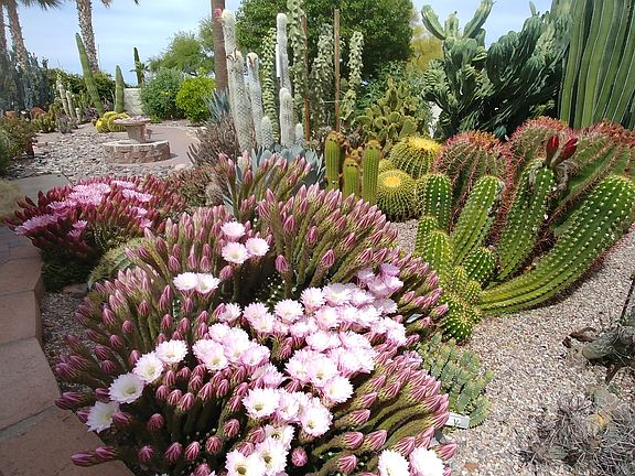 Double lot w/fabulous garden