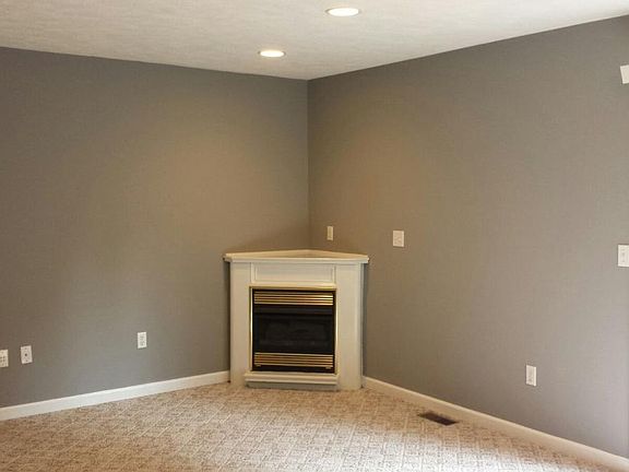 Fireplace in living_rooom Pic