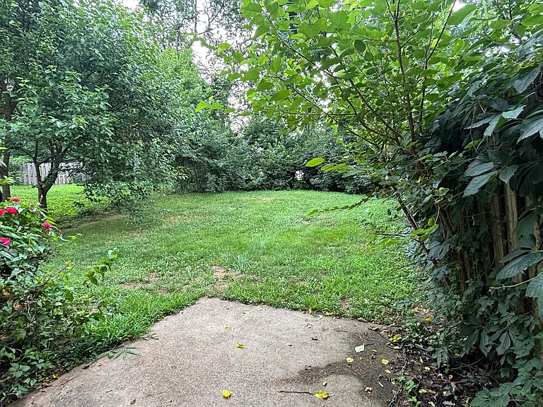 210 Maple Leaf Ln — Photo 11