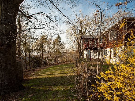 yard + back of house