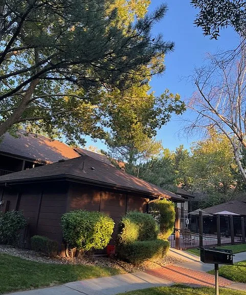 Nice grounds in complex