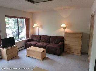 725 E Main St #110, Aspen, CO 81611