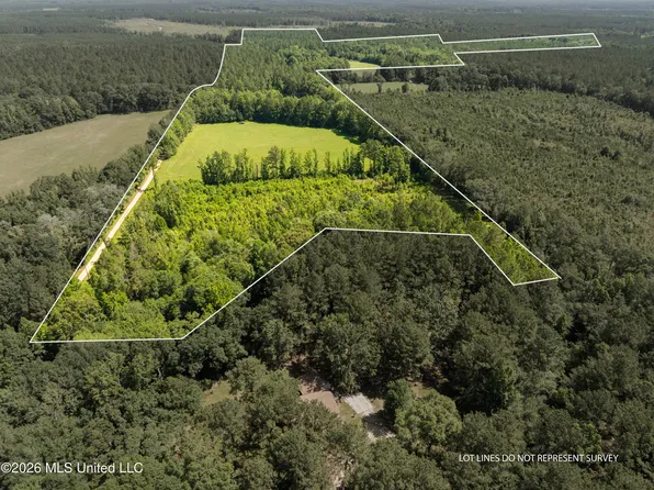 Ab Jordan Dr, Richton, MS 39476