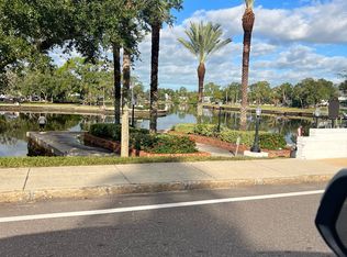408 Bayou Village Dr, Tarpon Springs, FL 34689