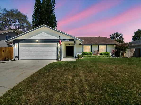2817 Wendover Ter, Palm Harbor, FL 34685