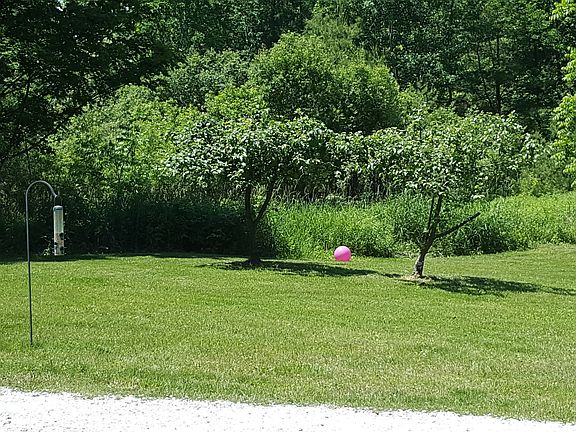 front yard area