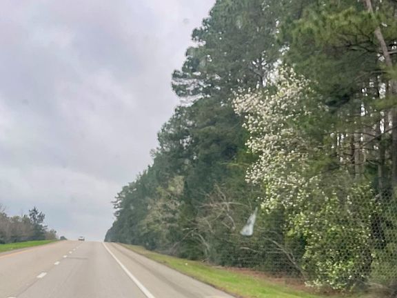 5th image of TRACT 1st Highway 96 N