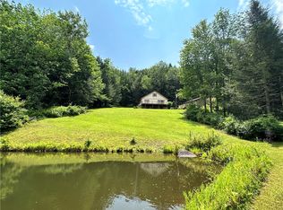 296 Crystal Meadows Rd, Hamden, NY 13782