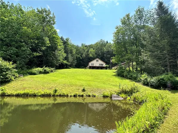 296 Crystal Meadows Rd, Hamden, NY 13782