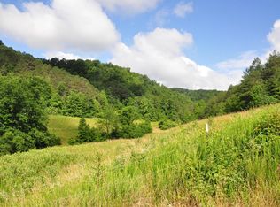 8000 Lower Sand Lick Rd LOT TBD, West Liberty, KY 41472