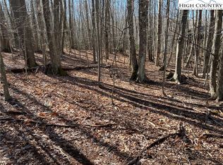 43 Buckeye Ridge Rd, Banner Elk, NC 28604