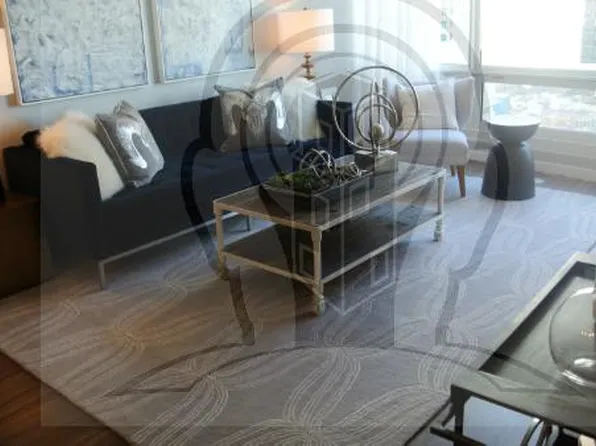 (undisclosed Address), Chicago, IL 60611