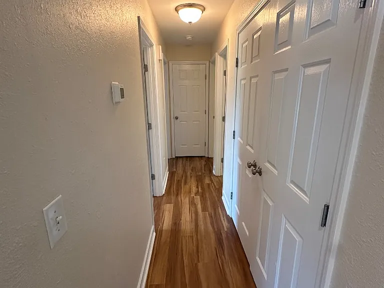 1290 Pyrtle Dr — Photo 5