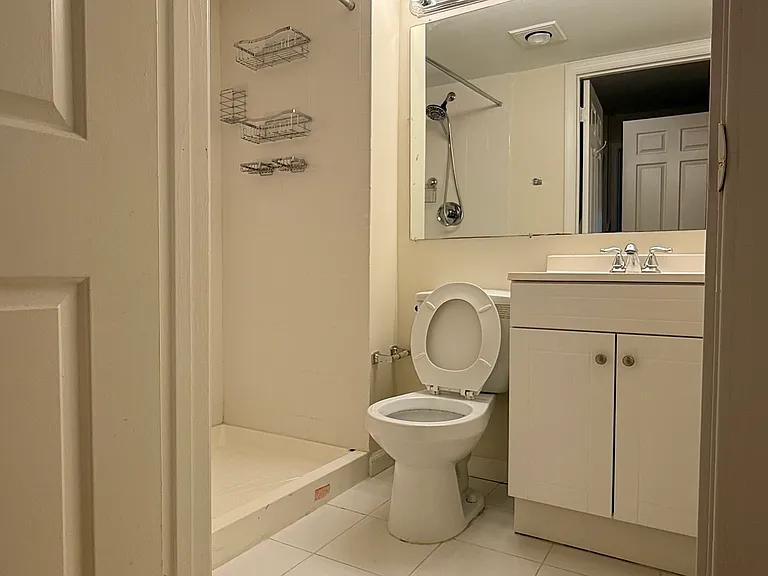 3rd Bathroom - Lower Level