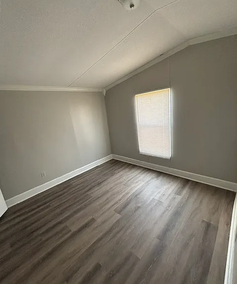 101 County Road 447 — Photo 5