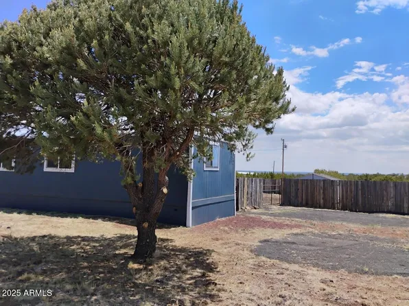 8484 BRUCE Circle, Show Low, AZ 85901