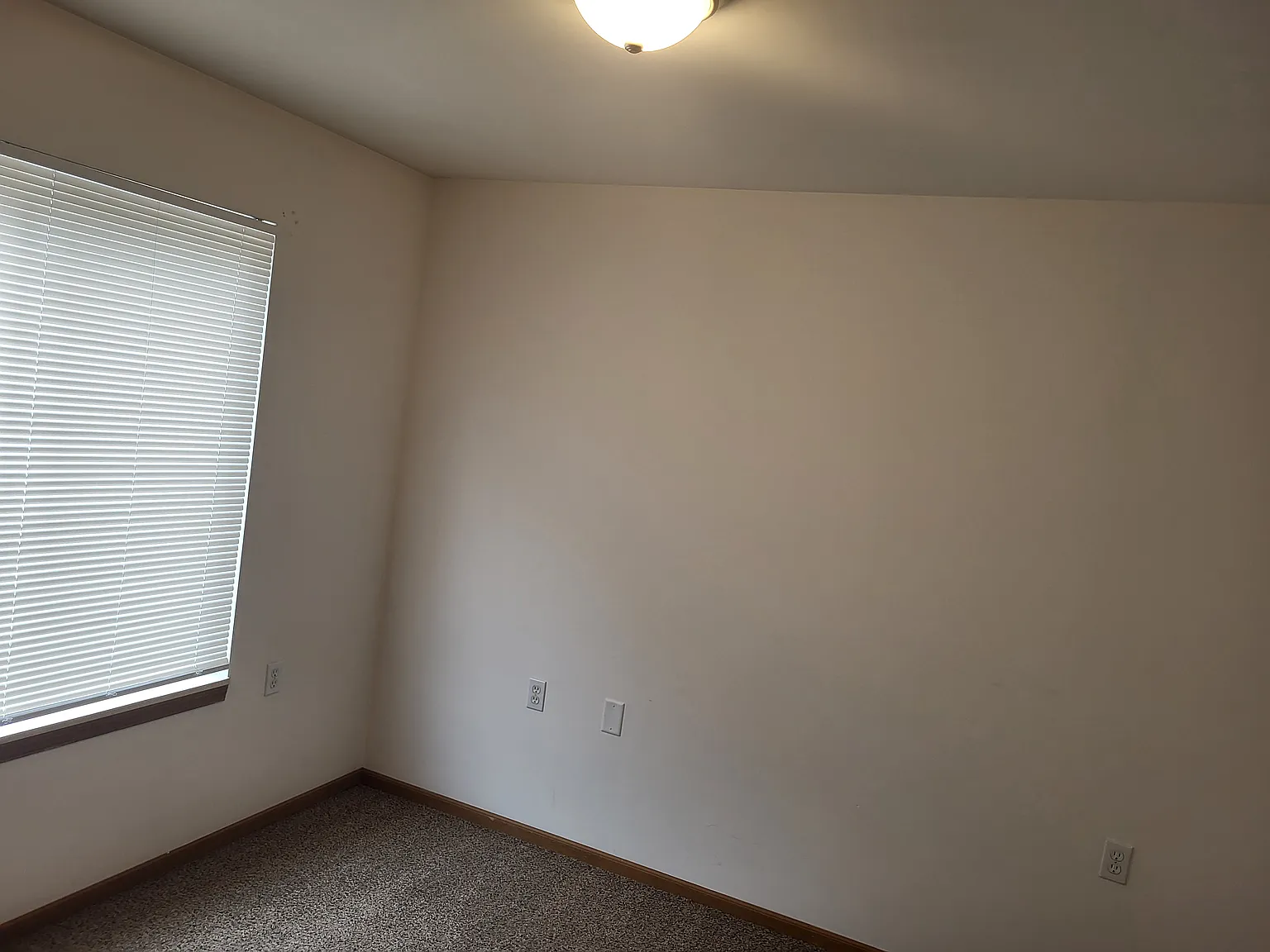 PKP 4915 Universal Dr — Photo 3