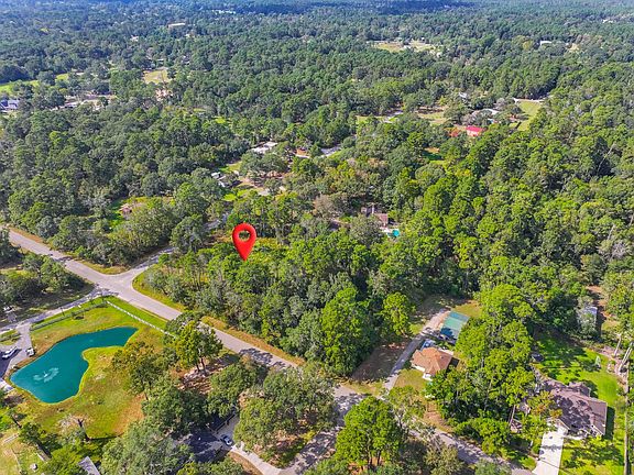 3rd image of 11855 Magnolia Bend Dr