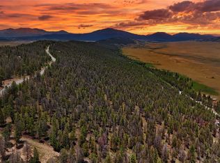 1348 Middle Fork, Fairplay, CO 80440