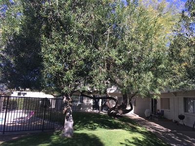 101 E University Blvd, Tucson, AZ, 85705
