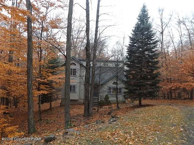 203 White Pine Dr photo 1
