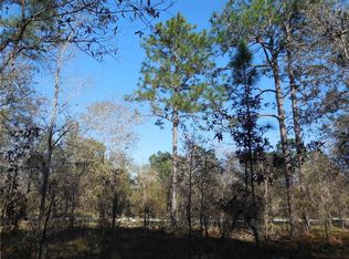 6990 SE 140th Ave, Morriston, FL 32668