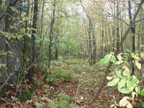 80+/- Acres On Bass Lake Road, Park Falls, WI 54552